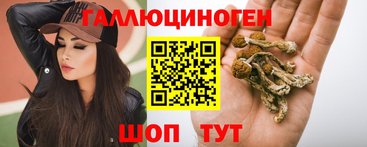 Псилоцибиновые грибы Psilocybine cubensis  Вход с VPN  Советский 